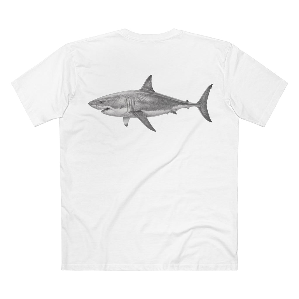 Contour - Great White Shark