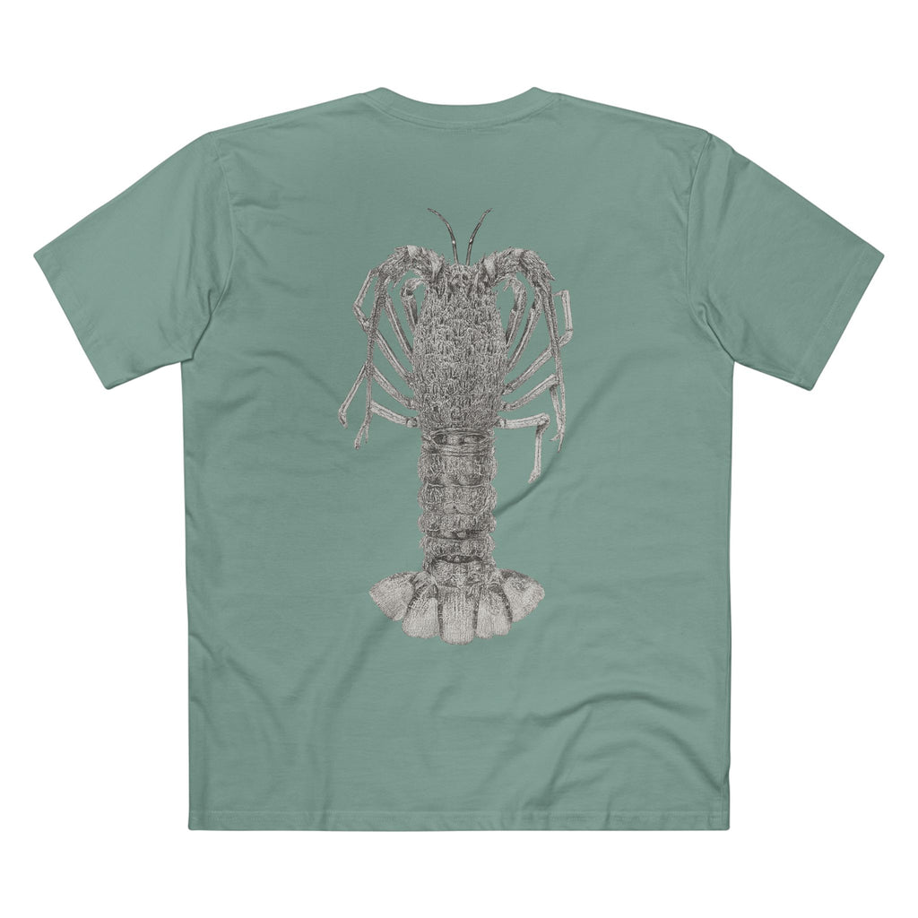 Contour - Crayfish