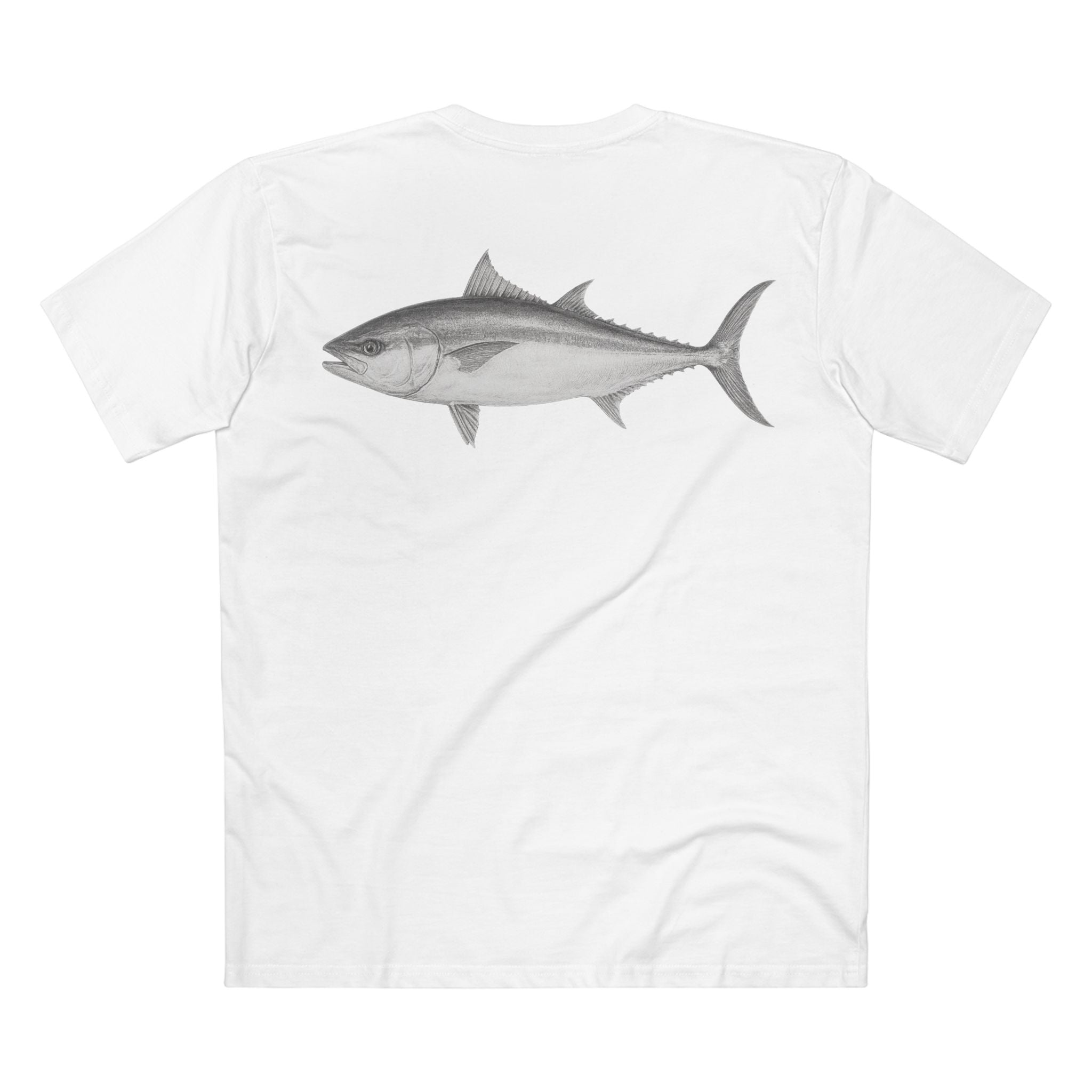Contour - Yellowtail Kingfish