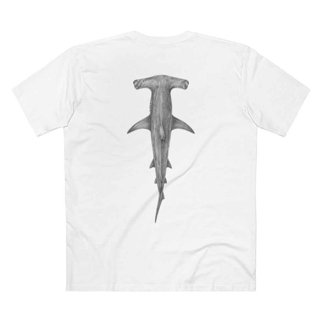 Contour - Hammerhead Shark