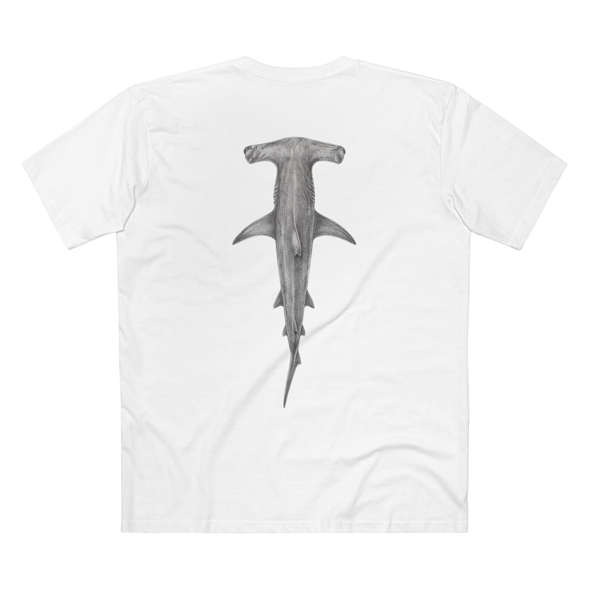 Contour - Hammerhead Shark