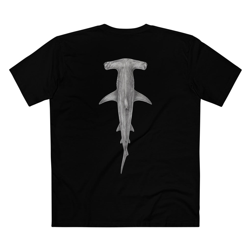 Contour - Hammerhead Shark
