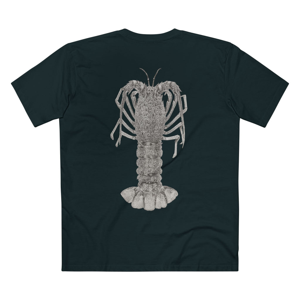 Contour - Crayfish
