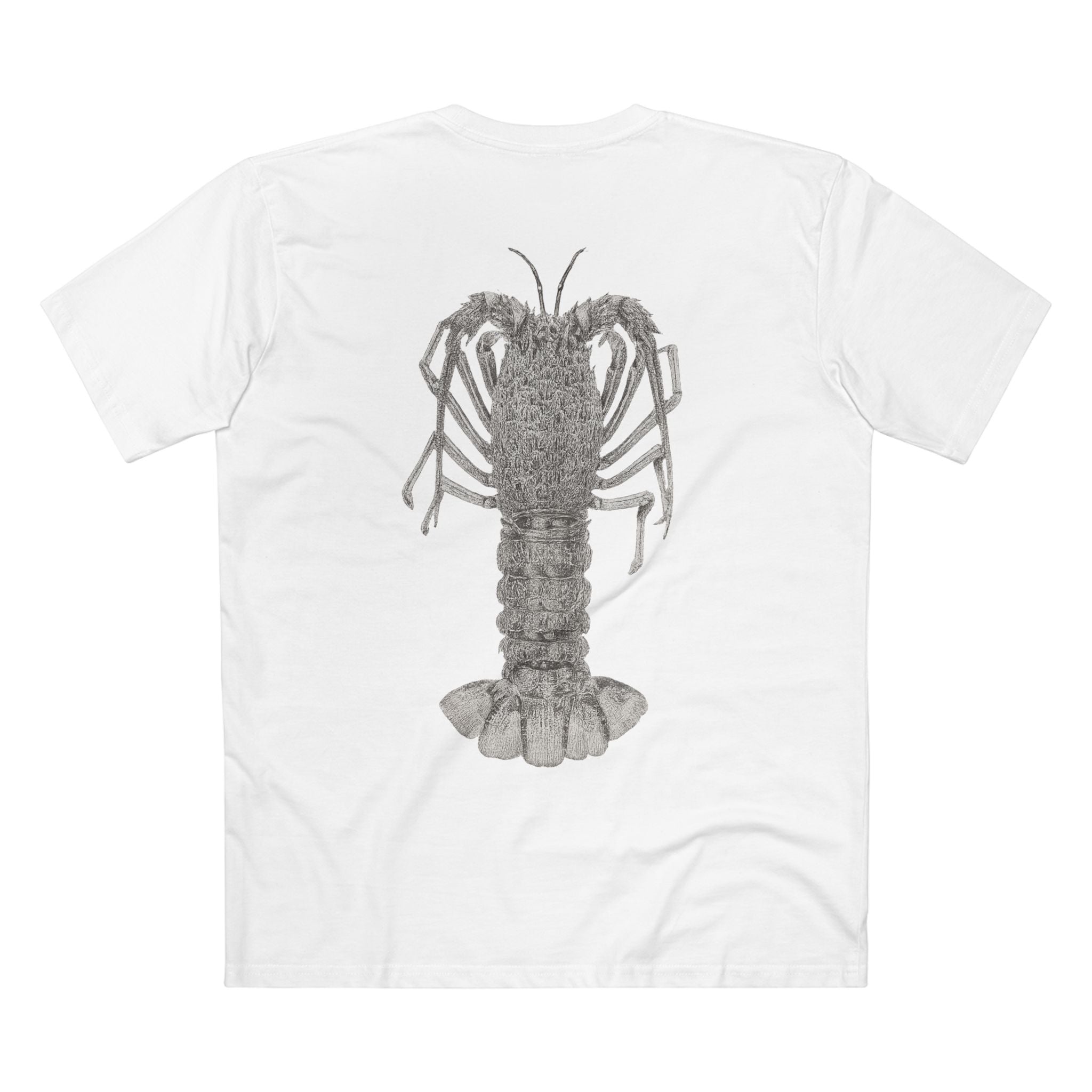 Contour - Crayfish