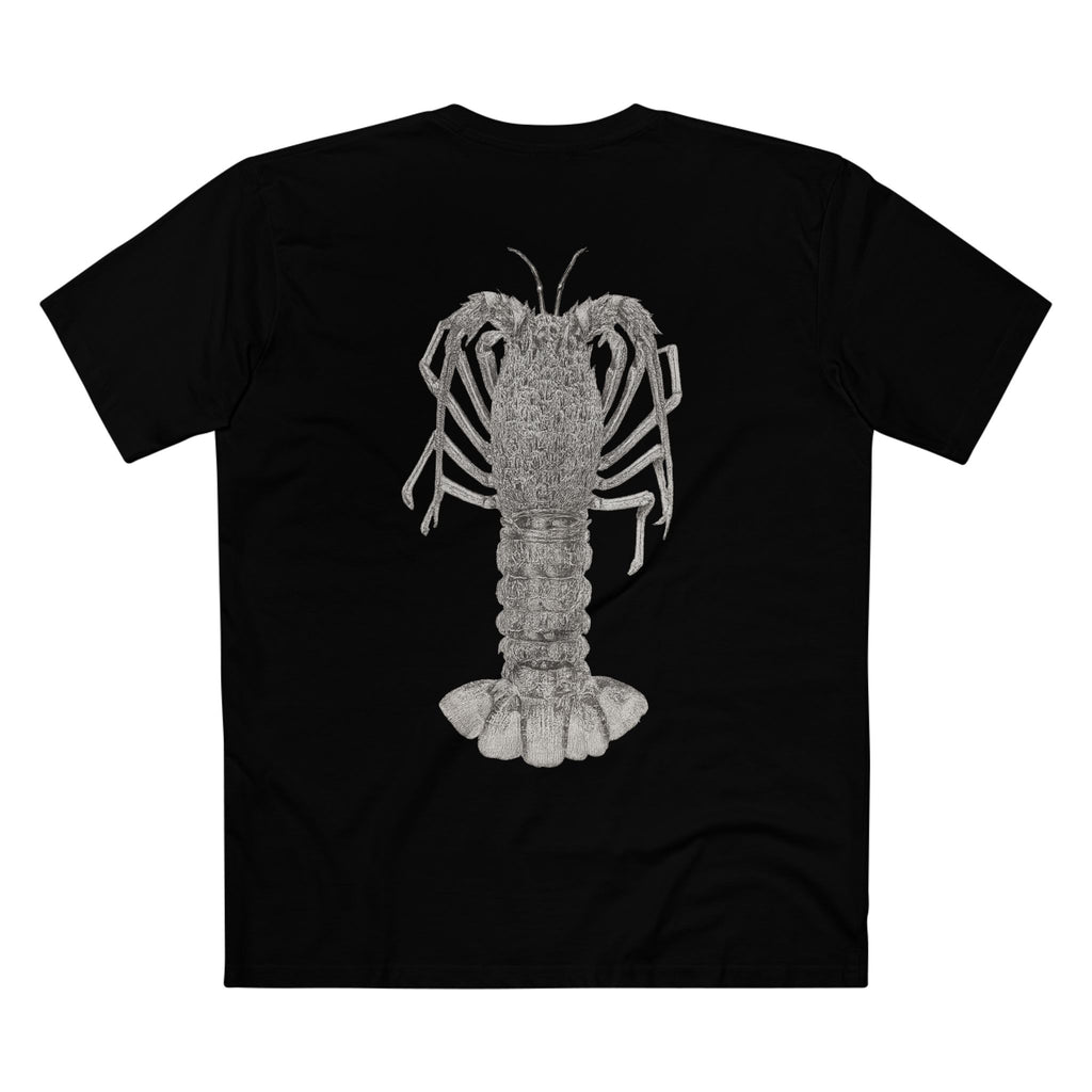 Contour - Crayfish