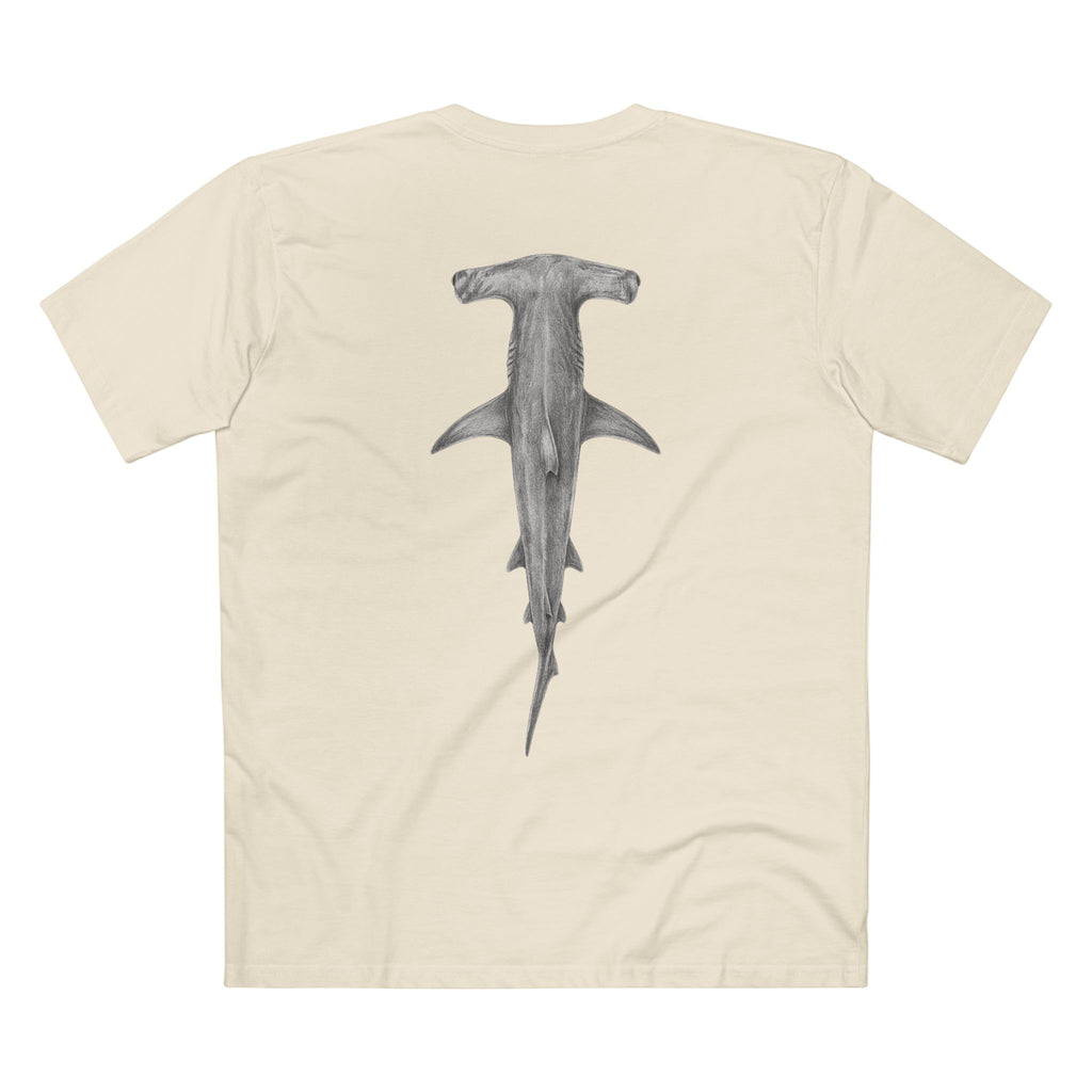 Contour - Hammerhead Shark